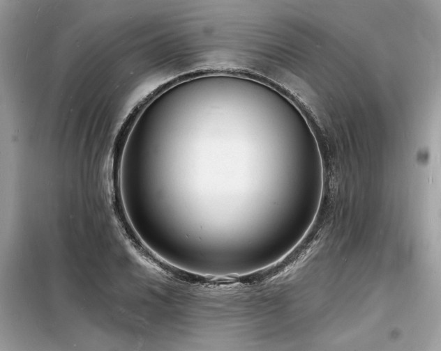 X0000098231030200804241336