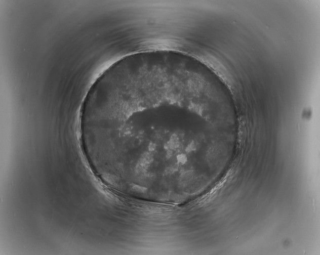 X0000098231031200804241336