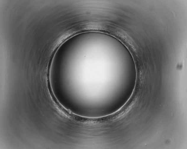 X0000098231033200804241336