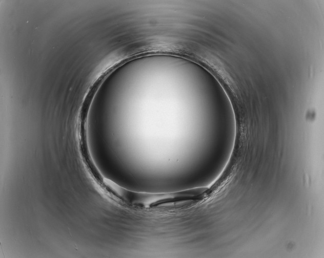 X0000098231034200804241336