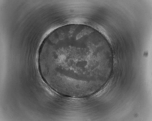 X0000098231035200804241336