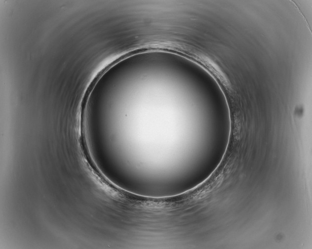 X0000098231036200804241336