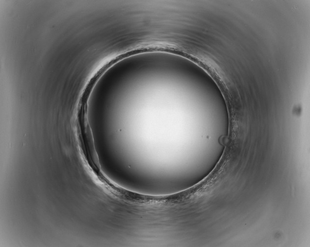 X0000098231038200804241336