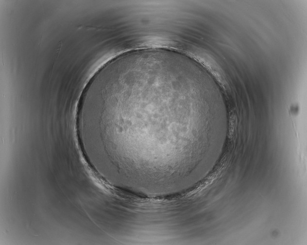 X0000098231039200804241336