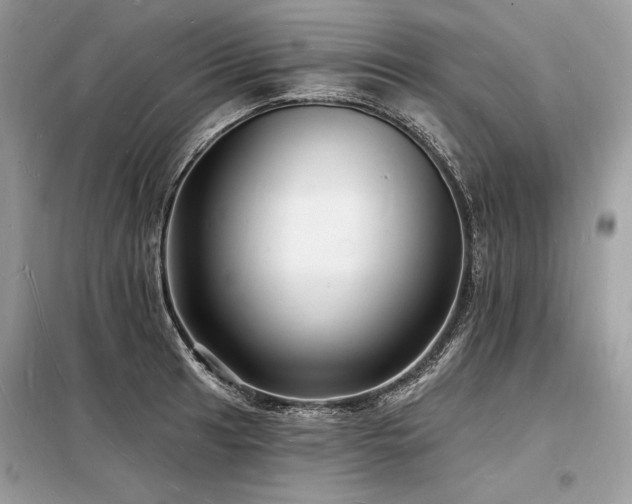X0000098231041200804241336
