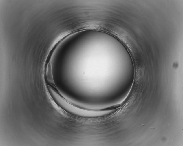 X0000098231042200804241336