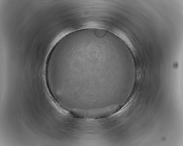 X0000098231043200804241336