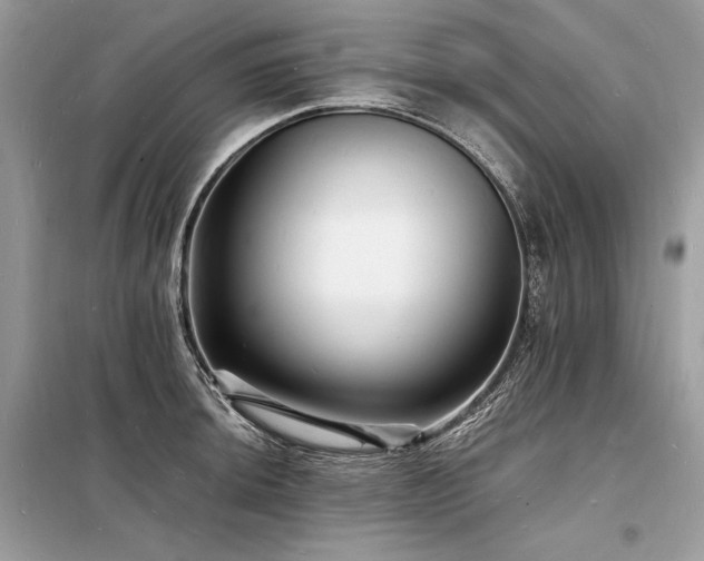 X0000098231044200804241336