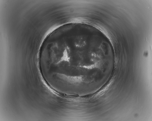 X0000098231045200804241336