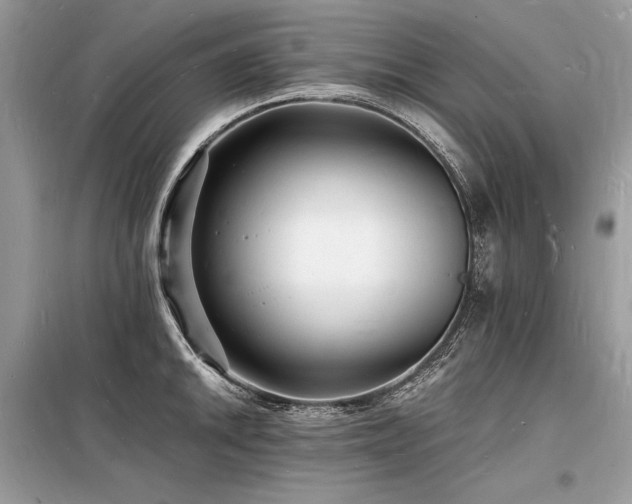 X0000098231046200804241336