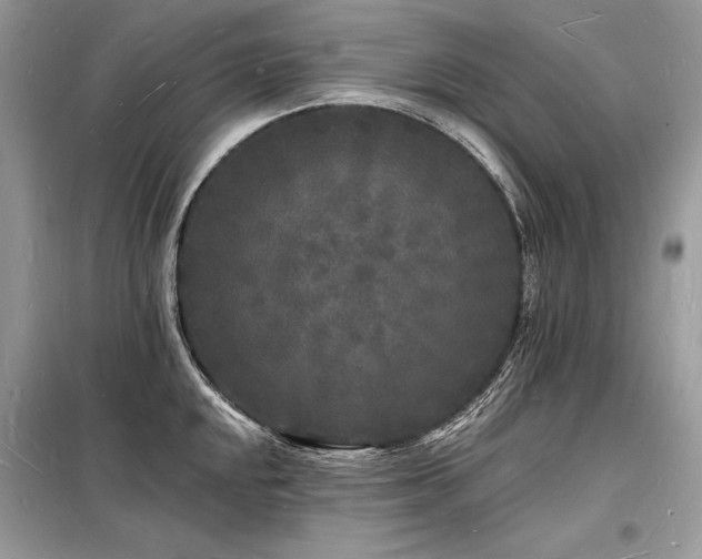 X0000098231048200804241336