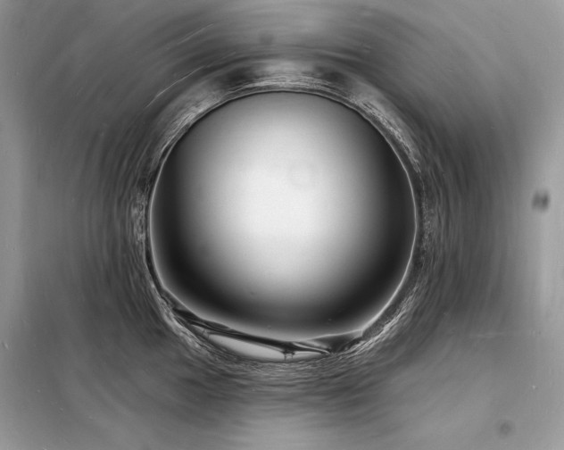 X0000098231049200804241336