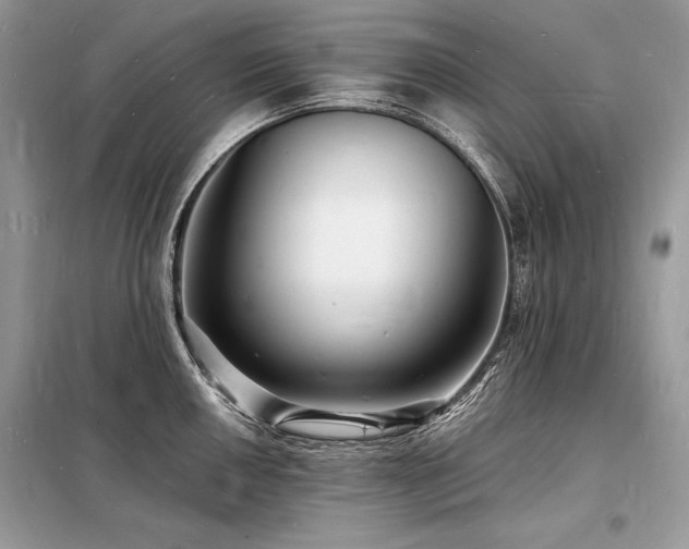 X0000098231050200804241336