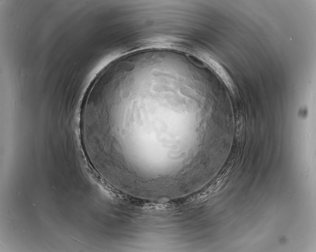 X0000098231051200804241336