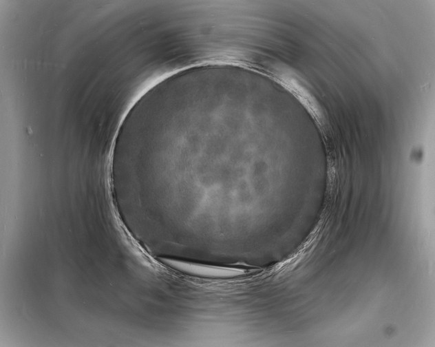 X0000098231052200804241336