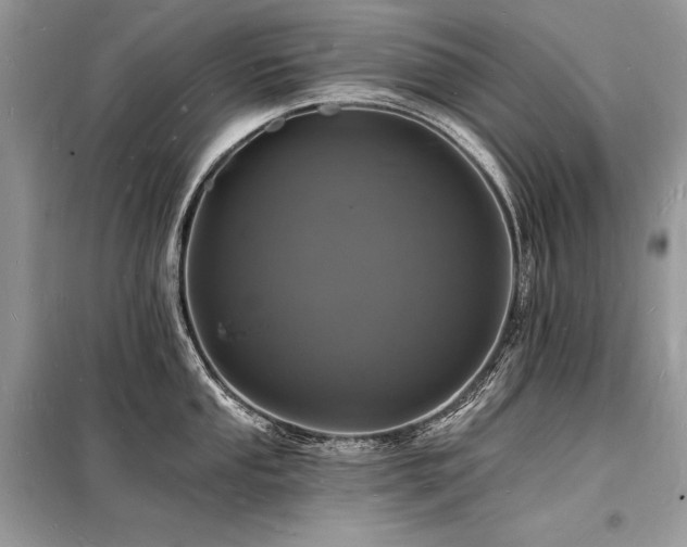 X0000098231053200804241336