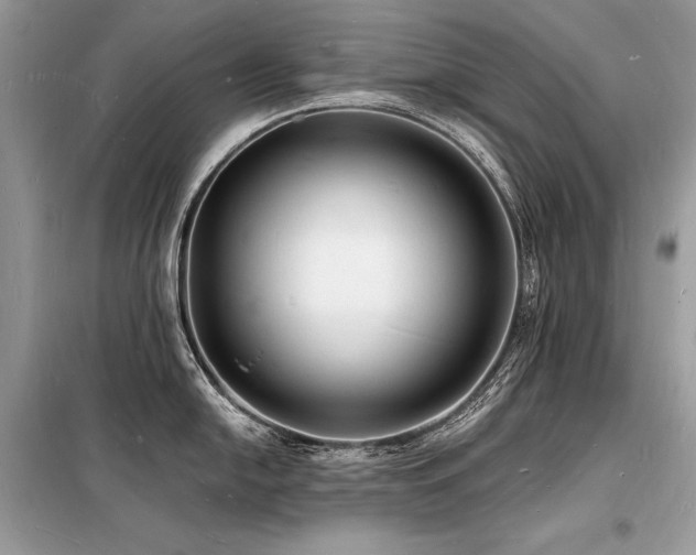 X0000098231054200804241336