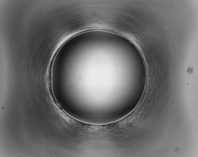 X0000098231056200804241336
