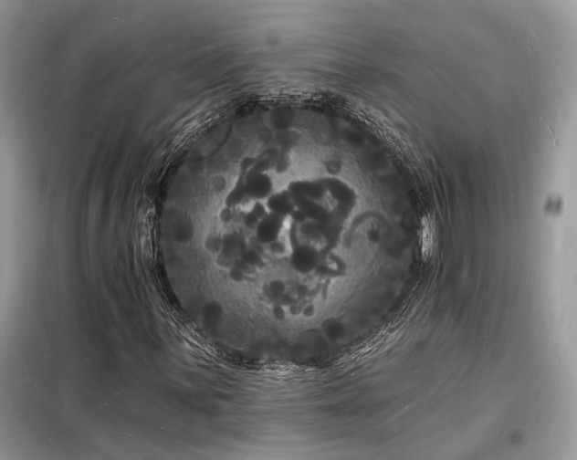 X0000098231059200804241335