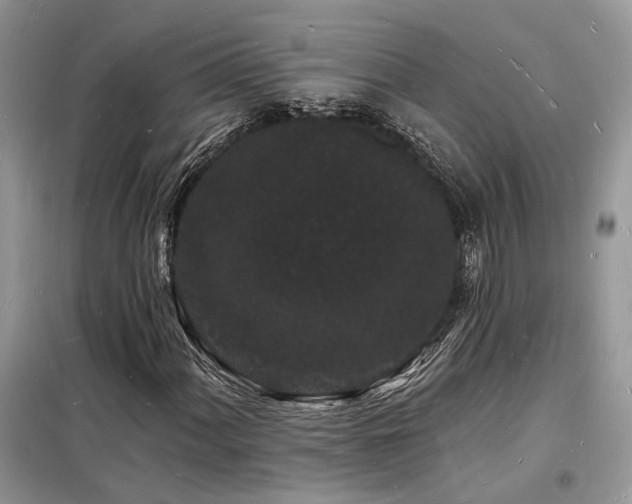 X0000098231060200804241335