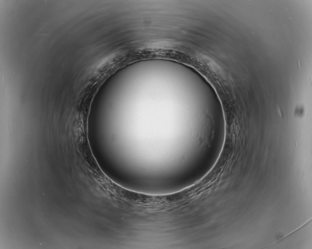 X0000098231062200804241335
