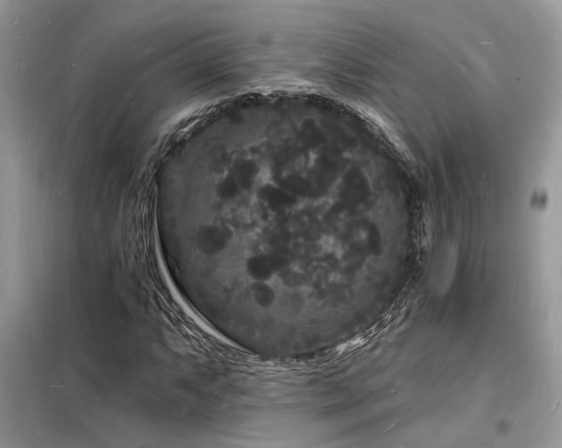 X0000098231063200804241335