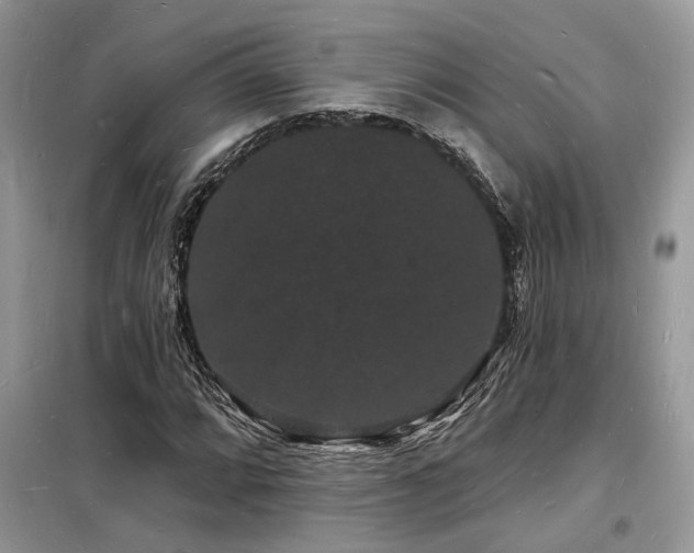 X0000098231064200804241335