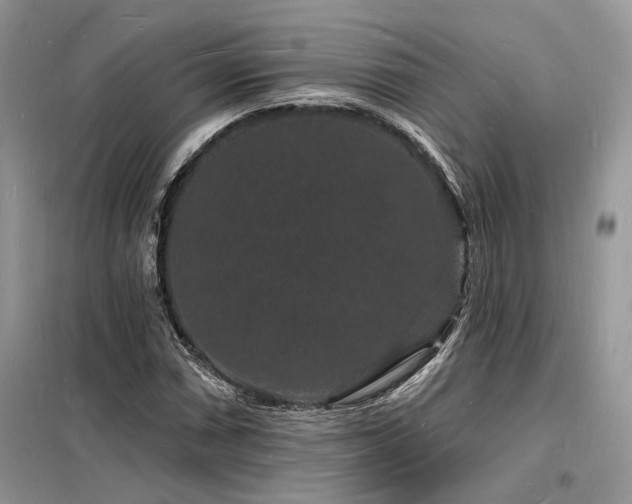 X0000098231066200804241335