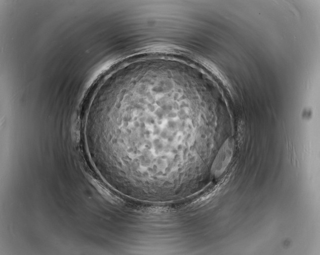 X0000098231067200804241335