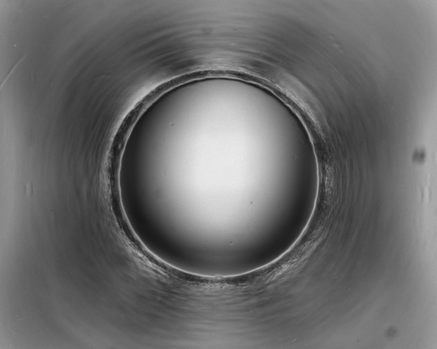 X0000098231068200804241335