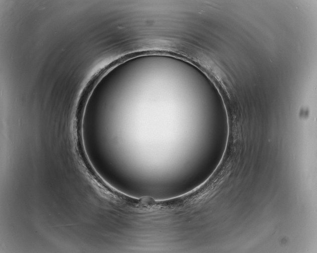 X0000098231072200804241335