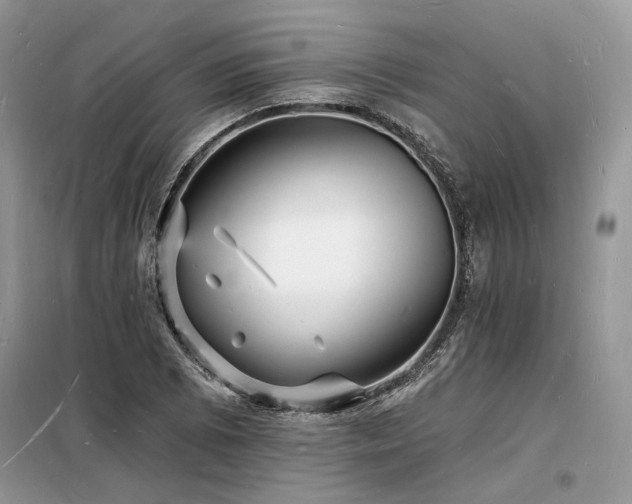 X0000098231073200804241335