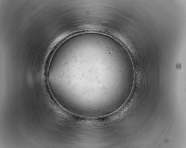 X0000098231074200804241335