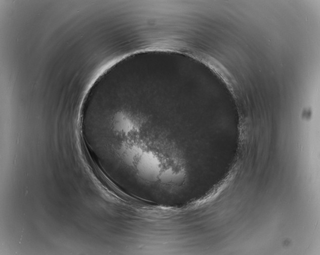 X0000098231077200804241335
