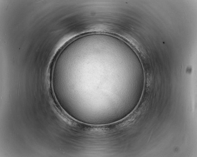 X0000098231078200804241335