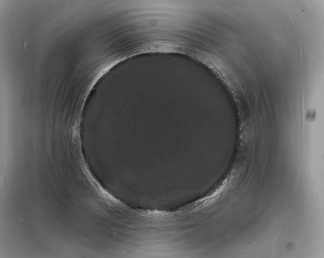 X0000098231081200804241335