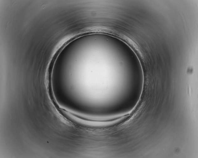 X0000098231082200804241335