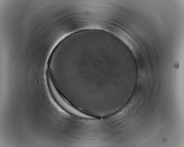 X0000098231084200804241335