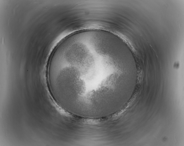 X0000098231086200804241335