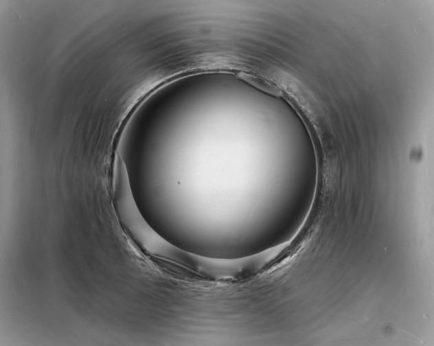 X0000098231089200804241335
