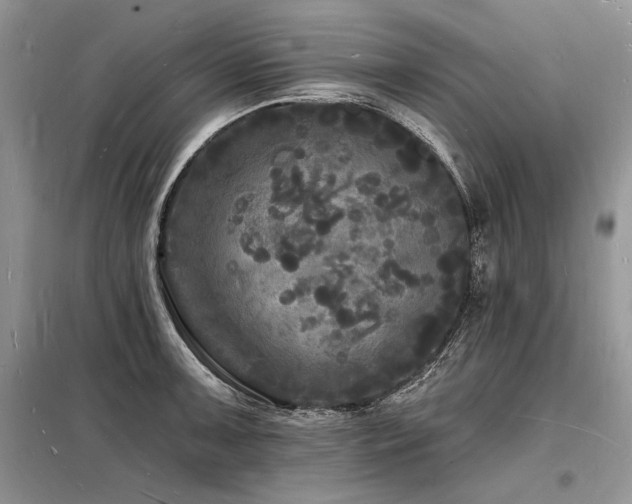 X0000098231091200804241335
