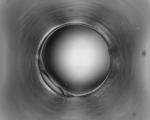 X0000098231092200804241335