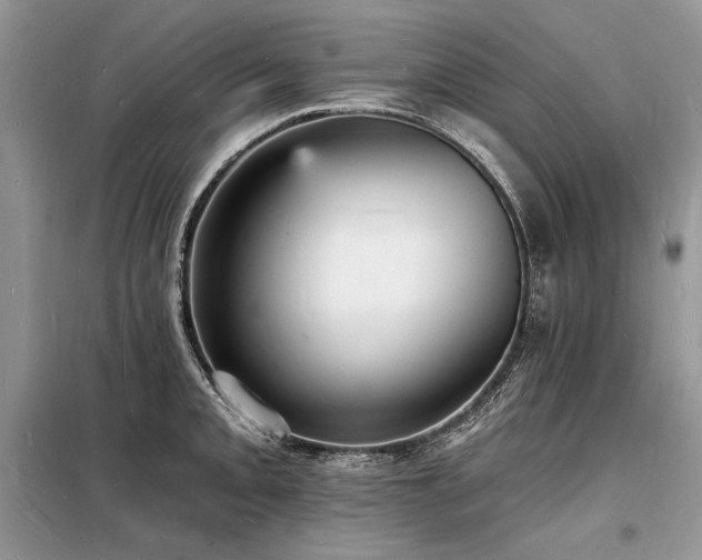 X0000098231093200804241335