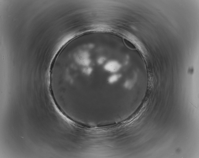 X0000098231095200804241335