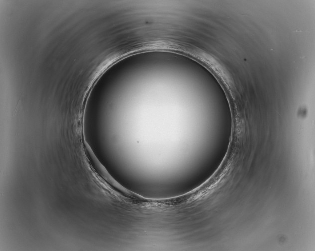 X0000098231097200804241335