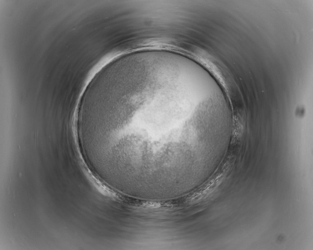 X0000098231098200804241335