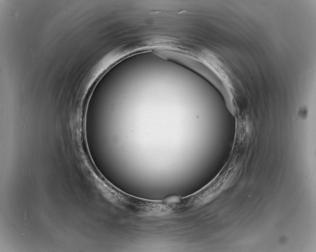 X0000098231101200804241335