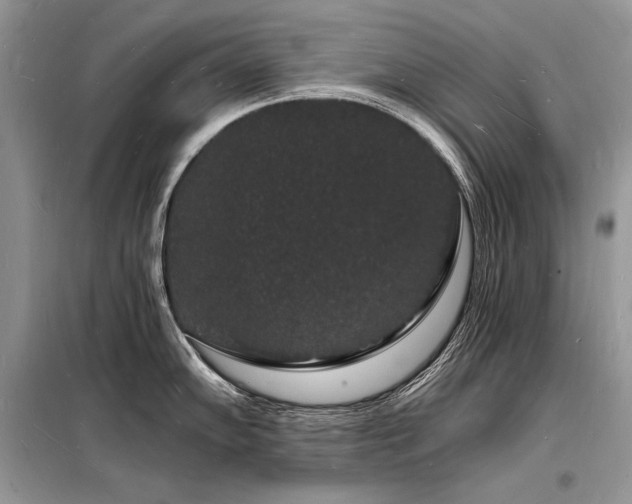 X0000098231102200804241335
