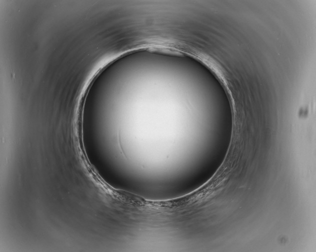 X0000098231104200804241335