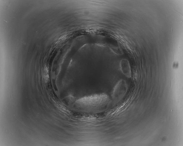 X0000098231106200804241334